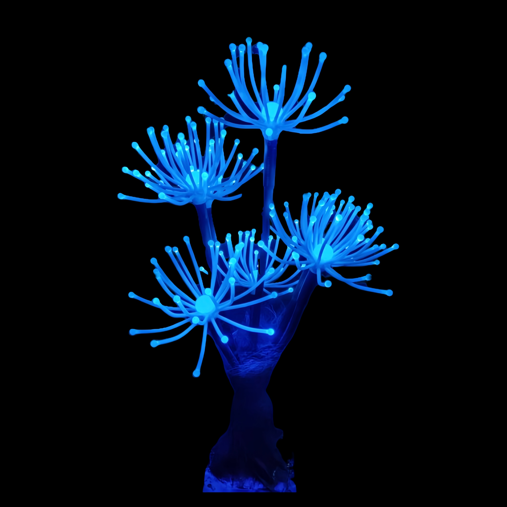 中山市灯旗光电科技有限公司